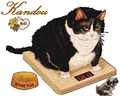 Noms de chat: Kandou