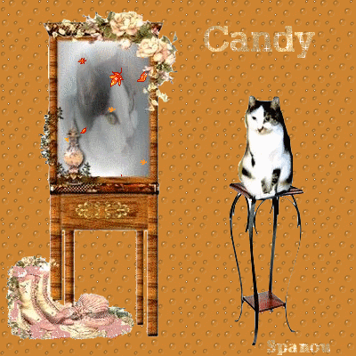 Candy, chamour de Patricia