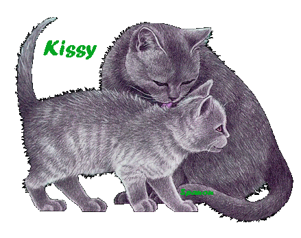 Noms de chat : kISSY