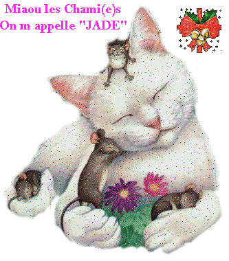Noms de chat : Jade