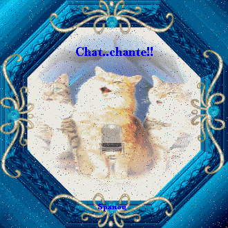 Chats chanteurs
