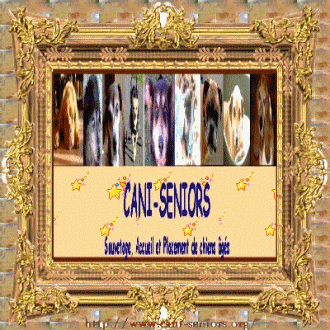 Refuge Cani-Seniors
