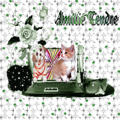  Quand Tendresse se conjuguent aux Chiens et Chats