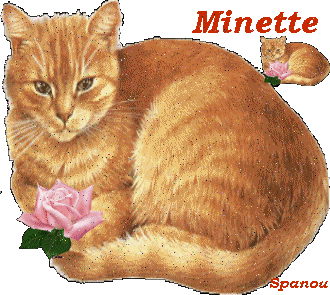 Noms de chats......  Minette