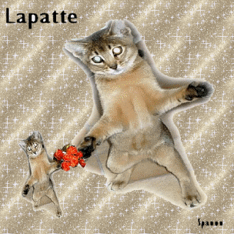 Noms de chat : Lapatte