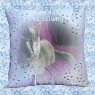 Races de chat: Nebelung