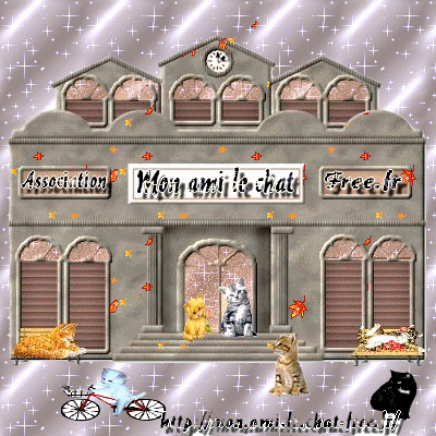 Association: Mon ami le chat