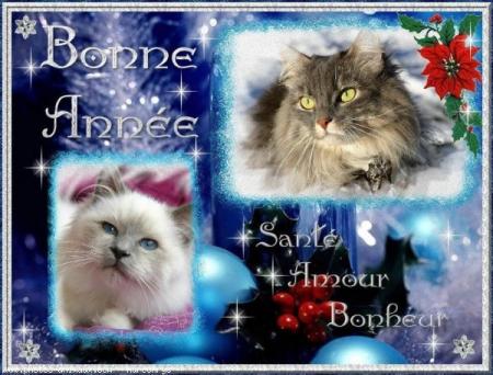 Cadeau recu de Catsy