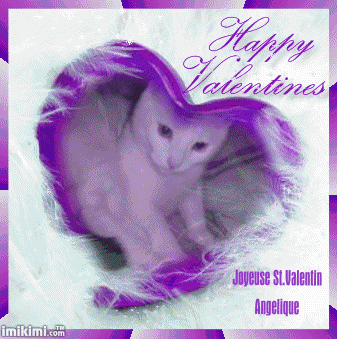 Angelique et St Valentin