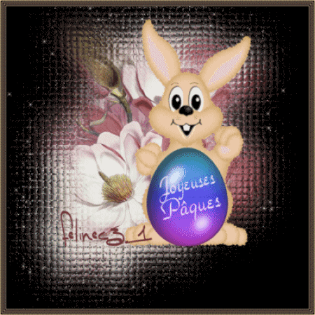 Cadeau recu de  Felinec31