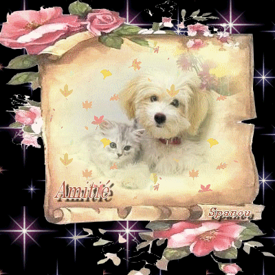 Pour  Vous remercier de vos visites