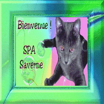 Refuges animaliers: SPA de Saverne