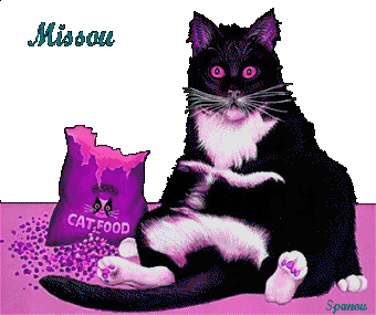 Noms de chats......  Missou