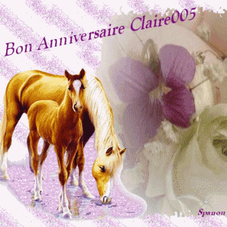 Bon Anniversaire Claire