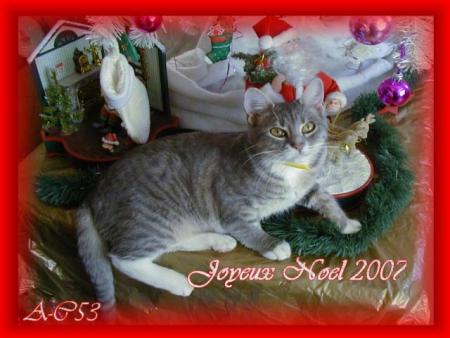 Cadeau de mon amie Annie  de ma filleule Juliette