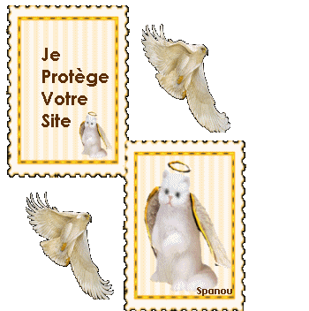 Chat-Ange Protecteur