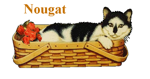 Noms de chats......  Nougat