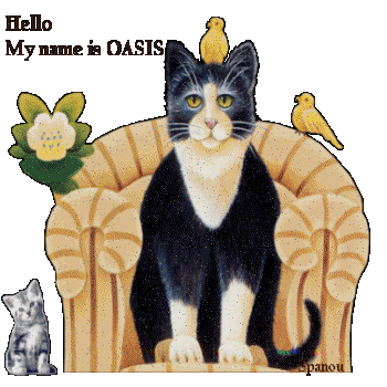 Noms de chats......  Oasis