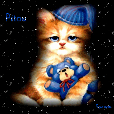 Nom de chat : Pitou