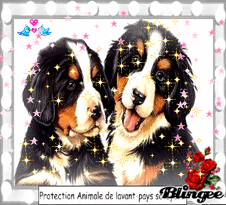 Protection animale de l'avant-pays savoyard