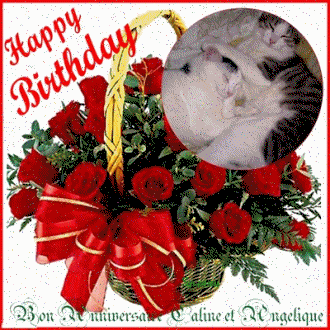 Bon Anniversaire Caline et Angelique
