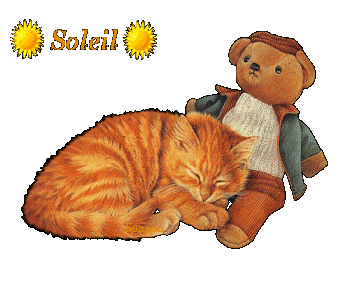 Nom de chat : Soleil