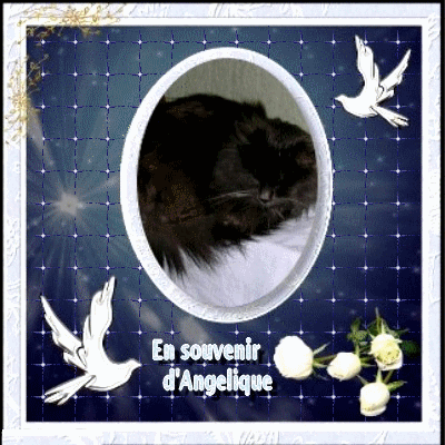 En hommage a Angelique