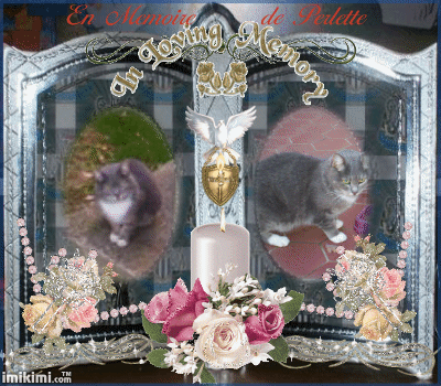 En souvenir de Perlette