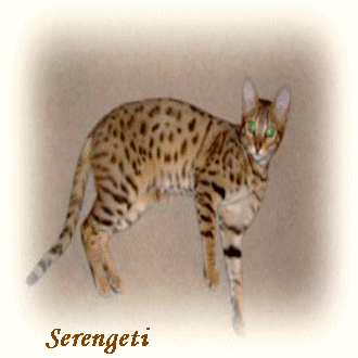 Serengeti