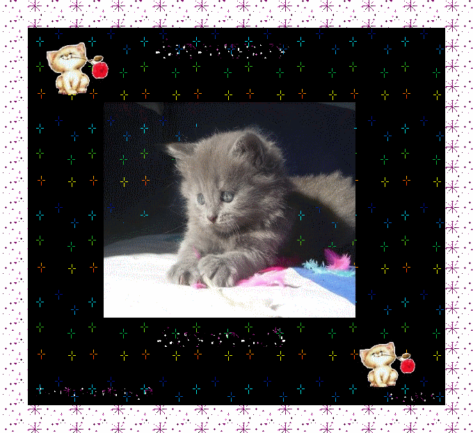  CADEAU RECU :  de  Jolieroserouge