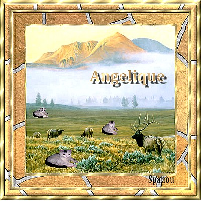 Chamour :: Ang�lique