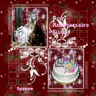 Bon Anniversaire Sissi