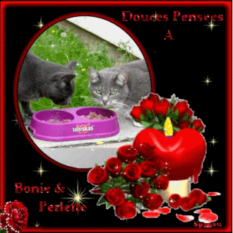 Douces Pens�es � Bonie et Perlette