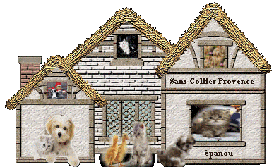 Sans Collier Provence