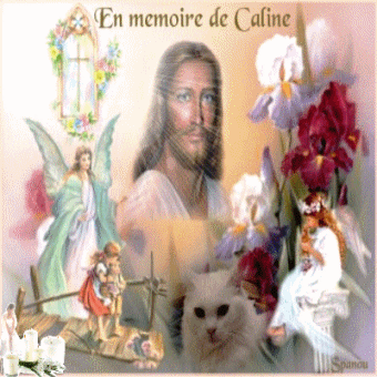 En Souvenir de Caline