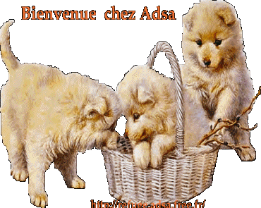 Refuge Animalier: ADSA