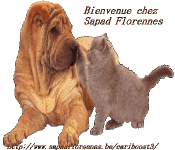 Refuges Animaliers: SAPAD Florennes