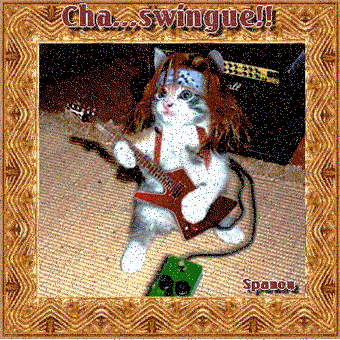 Chat SWingue