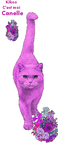 Noms de chats:  Canelle