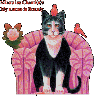 Noms de chats:  Bounty