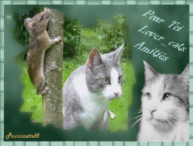 Cadeau recu de : Poussinette88