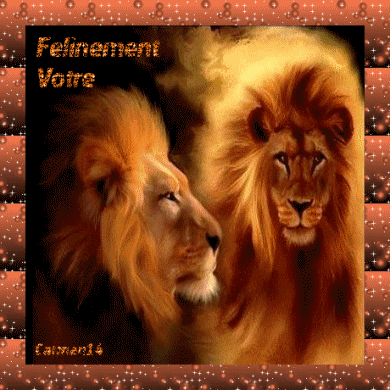 Creation Concours Creaverojp