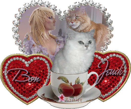 Merci pour  vos superbes  gifs!!