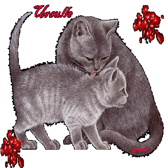 Nom de chat : Ursulle