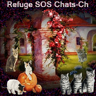 Refuge SOS Chats Ch