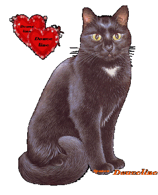 Noms de chats:  Douceline