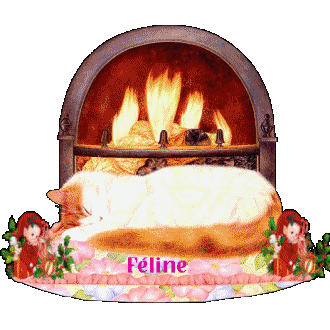 Noms de chats: Feline