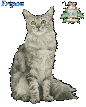 Noms de chats:  Fripon