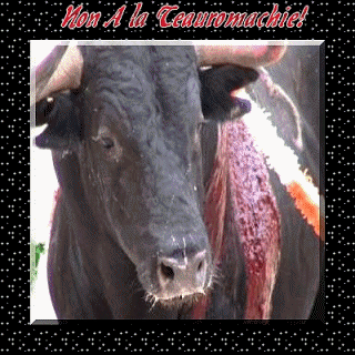 Contre la taureaumachie!!