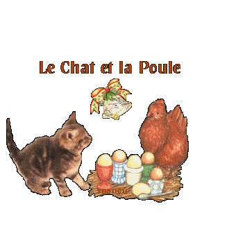 Le chat et la poule